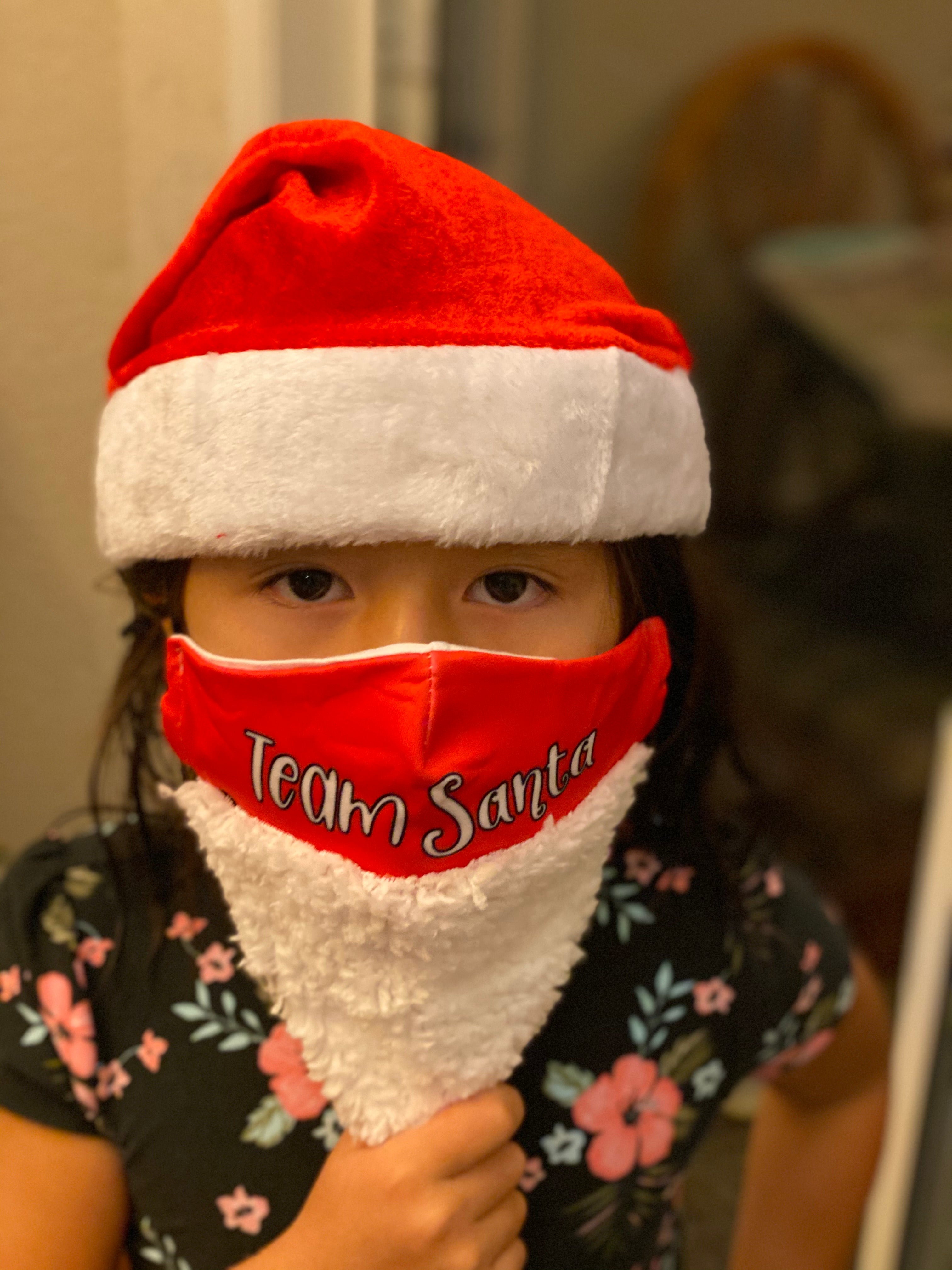 Holiday Mask Set Santa
